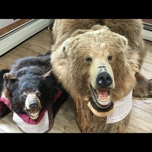 Meet your Posher, Robert